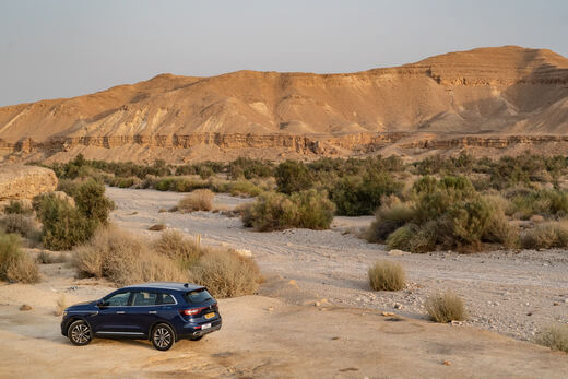 רנו קולאוס במדבר רנו קולאוס במדבר